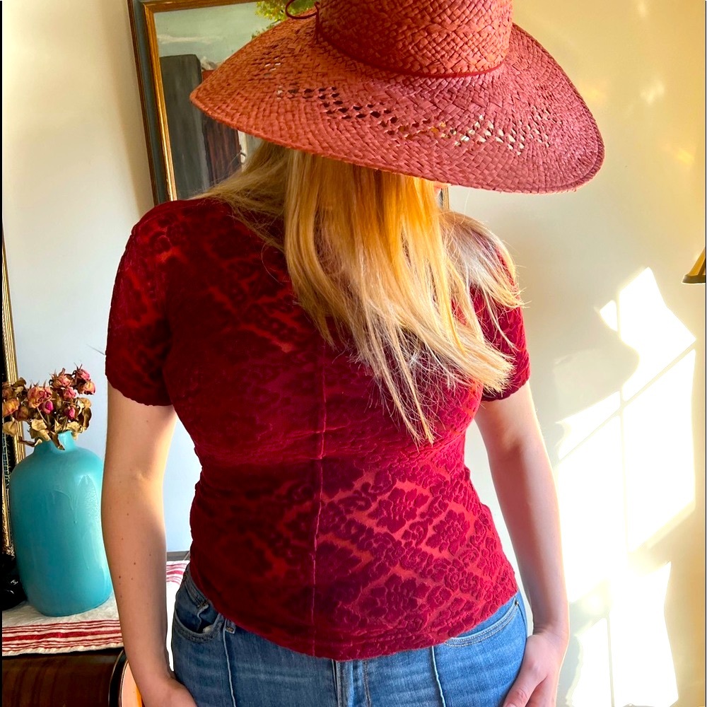 Gorgeous designer velvet top